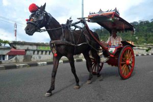 Pakej Percutian Padang Bukittinggi