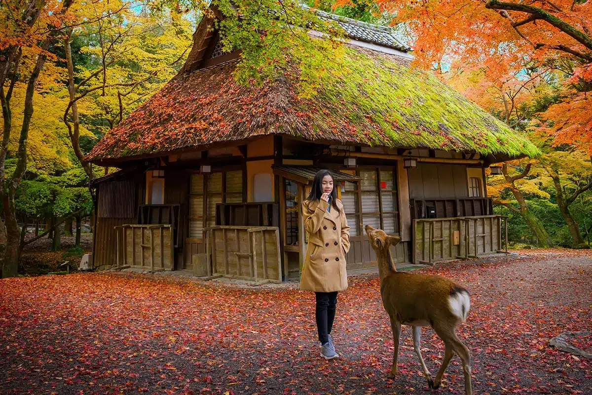 Osaka Nara Kyoto Autumn